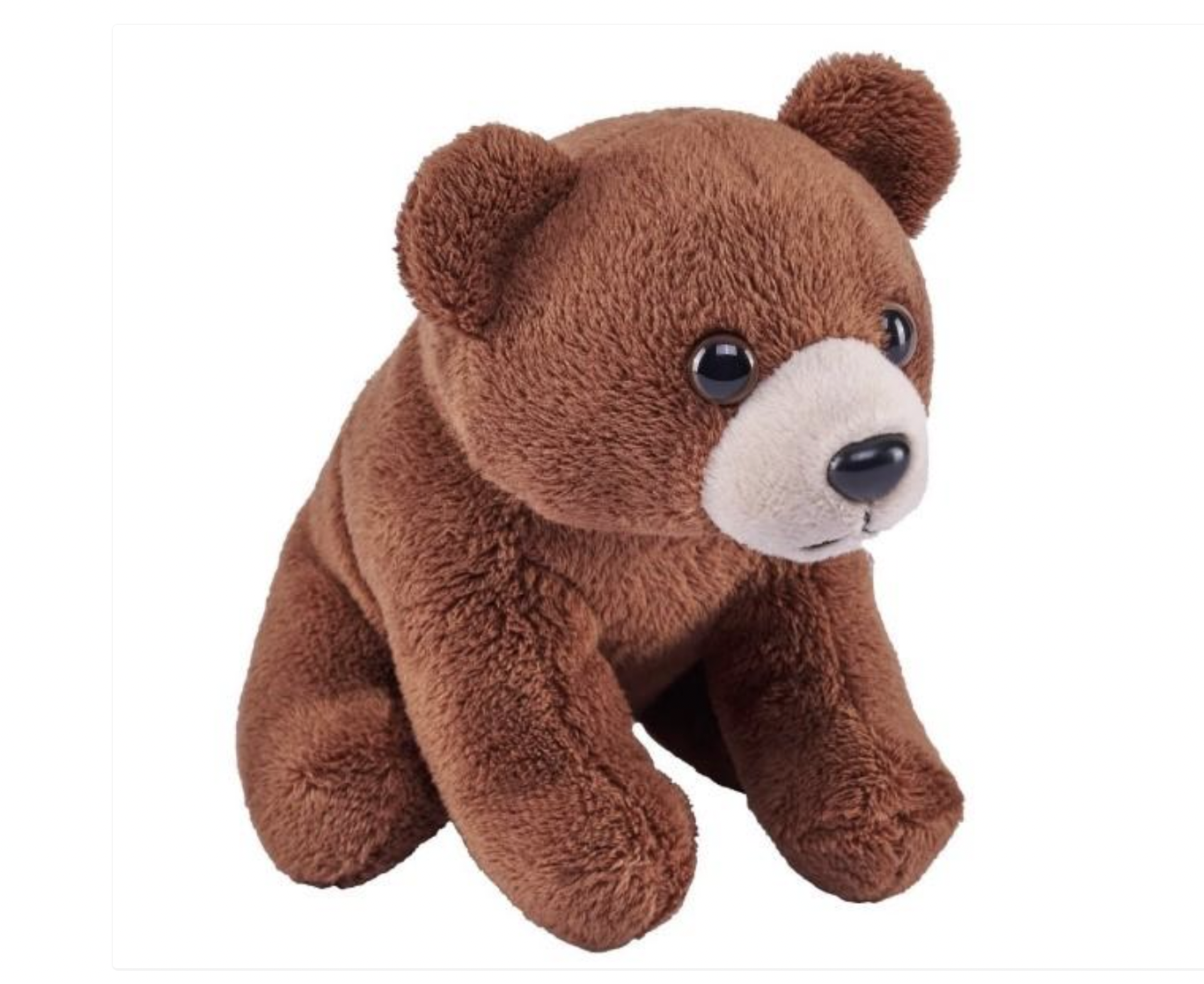 Health Canada recall stuffed bear